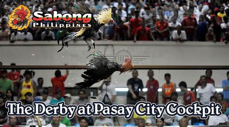 pasay cockpit derby schedule today philippines|150 fights featured in Pasay derby today .